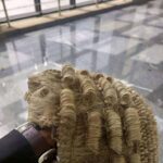 Lawyer's Wig