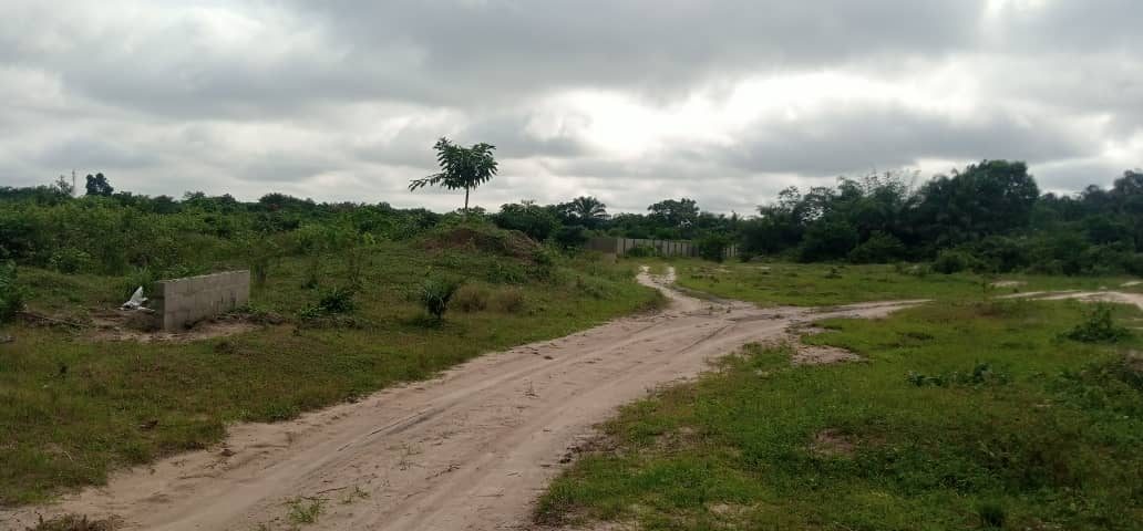 How to Avoid Legal Palava when buying Land in Nigeria