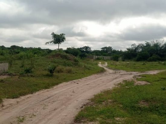 How to Avoid Legal Palava when buying Land in Nigeria