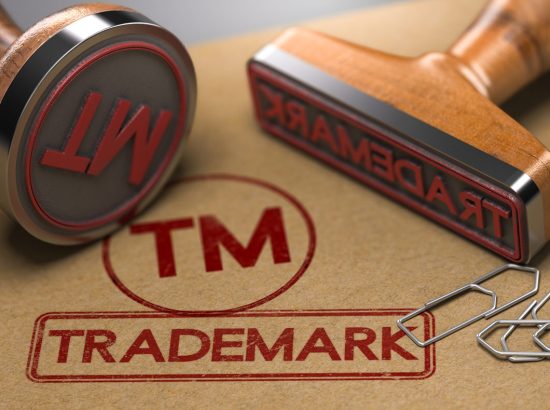 REGISTRATION AND PROTECTION OF DOMAIN NAMES AND BUSINESS ENTITIES NAMES AS TRADEMARKS IN NIGERIA